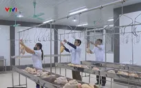 Xuất khẩu thịt gà sẽ sôi động trong năm 2018