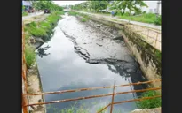 Hàng trăm hộ dân sống với ô nhiễm từ dòng kênh “bất động”