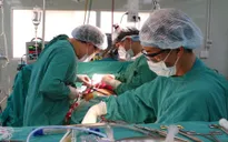 Tỷ lệ người mắc tim mạch ở Việt Nam tăng cao