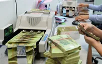 Bãi bỏ 6 Nghị định trong lĩnh vực ngân hàng