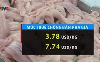 Thách thức cá tra Việt Nam khi Bộ Thương mại Mỹ đánh thuế khủng