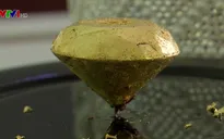 Bồ Đào Nha trưng bày viên chocolate bọc vàng đắt nhất thế giới