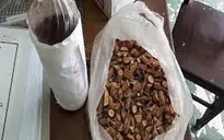 Ba người chết tại Nghệ An là do uống nhầm rượu ngâm có lá ngón