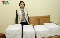 Yên Bái: Bắt giữ 28 kg quả thuốc phiện