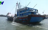 Xử lý nghiêm chủ tàu, thuyền trưởng không bật thiết bị giám sát hành trình