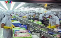 Phản ứng của Bộ Công Thương về việc Mỹ áp thuế cá tra, basa