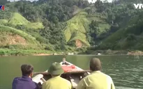 Quảng Nam nỗ lực ngăn chặn nạn khai thác gỗ trái phép