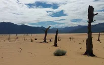 Cape Town - Thành phố đầu tiên trên thế giới sẽ hết nước sạch