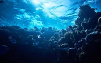 Bất ngờ với khám phá thú vị về "vùng biển hoàng hôn" ở Caribe