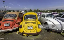 Diễu hành xe Volkswagen cổ trên đường phố tại Jordan