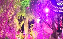 Hấp dẫn Lễ hội giao lưu văn hóa Nhật Bản 2018 tại Hà Nội