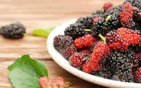 Những lợi ích cho sức khỏe từ dâu tằm