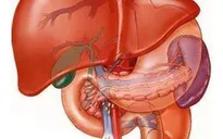 Cách hạ men gan hiệu quả