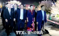 Khai mạc hoạt động giao lưu văn hóa Việt Nam - Nhật Bản