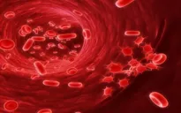 48 giờ giành giật sự sống cho bệnh nhân bị sốc nhiễm khuẩn nặng