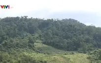 Quảng Nam ứng dụng công nghệ cao bảo vệ rừng