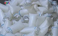 Bạc Liêu khẩn trương quy hoạch chợ tôm giống theo hướng tập trung