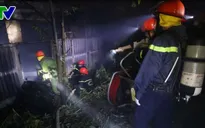 Đà Nẵng: 2 năm, trại dế cháy 2 lần khiến chủ trại suy sụp