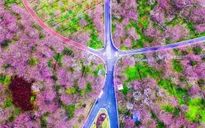 Trung Quốc: Những vườn hoa đẹp như tranh níu chân du khách