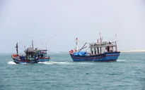 Các địa phương thắt chặt hoạt động khai thác hải sản trái phép