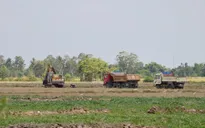 Cảnh báo tác hại lâu dài từ việc bán đất mặt ruộng