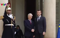 Tổng Bí thư Nguyễn Phú Trọng hội đàm với Tổng thống Pháp Emmanuel Macron