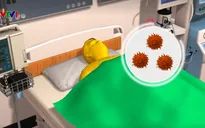 Cảnh báo về đợt virus cúm mới ở Mỹ