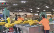 Thúc đẩy kinh tế khu vực tam giác phát triển CLV