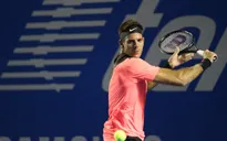 Giải quần vợt Acapulco 2018: Vượt qua A.Zverev, Juan Martin del Potro vào chung kết