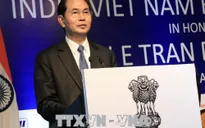 Tăng cường liên kết kinh tế Việt Nam - Ấn Độ