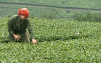 Thông điệp xanh: Sản phẩm sạch, công nghệ xanh