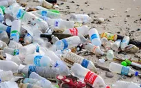 Chính sách dùng chai nhựa phải trả tiền ở Anh góp phần giải quyết các vấn đề về môi trường
