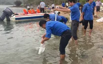 59 năm Ngày truyền thống Nghề cá: Các tỉnh miền Trung thả tôm cá giống, tái tạo nguồn lợi thủy sản
