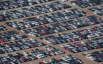 Hơn 300.000 xe diesel của Volkswagen nằm bãi ở Mỹ