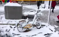 Giá lạnh kỷ lục ở châu Âu ảnh hưởng gì đến cộng đồng người Việt?