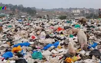 Nhiều quốc gia có xu hướng từ bỏ túi nilon