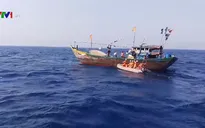 Kịp thời cứu ngư dân Quảng Nam bị tai nạn trên biển