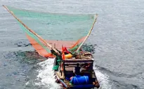 Bình Thuận không cho phép đóng mới tàu cá làm nghề giã cào từ ngày 20/3