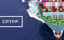 Vốn đầu tư trực tiếp nước ngoài sẽ dịch chuyển vì CPTPP?