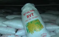 Phát hiện hơn 1.000 tấn lúa giống giả nhãn mác ở Cần Thơ