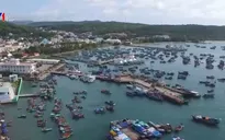 Chọn mô hình nào để bảo đảm thành công cho các đặc khu?