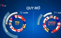 Điểm khác biệt giữa CPTPP - TPP và tác động của CPTPP đến thương mại Việt Nam 