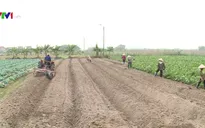 Năm 2018 sẽ có bộ tiêu chuẩn, quy chuẩn về phân bón hữu cơ