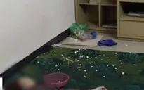 Hiện trường vụ án Châu Việt Cường và lời kể của bà bán tỏi