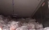 TP. Hồ Chí Minh: Bắt giữ container chứa 25 tấn thịt bẩn