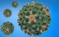 Báo động tình trạng bệnh nhân nhiễm virus viêm gan B không được điều trị