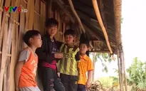 Nhức nhối tình trạng lao động trẻ em nông thôn bị bạo hành