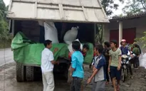 Hơn 550.000 học sinh nghèo nhận gạo hỗ trợ của Chính phủ