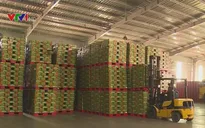Bộ Tài chính đốc thúc Sabeco trả khoản nợ 2.500 tỷ đồng