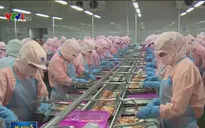 Tăng cường giám định hàng hóa xuất nhập khẩu